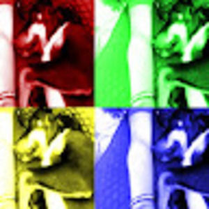 Meet your Posher, Phloidthecat